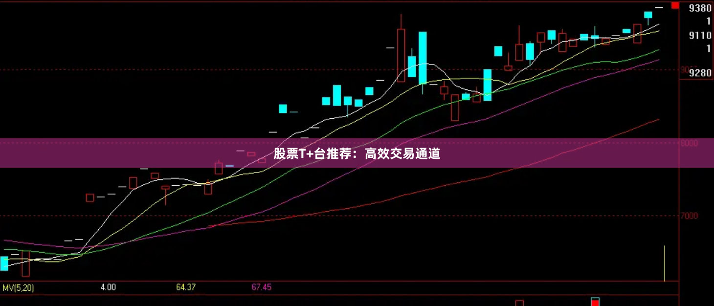 股票T+台推荐：高效交易通道